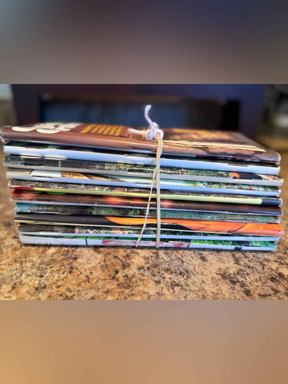 Vintage Organic Gardening Magazine Lot of 12, 1980s Rodale Press